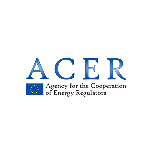 ACER Agency for the Cooperation of Energy Regulators